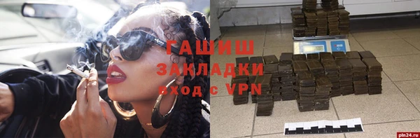 хмурый Арсеньев