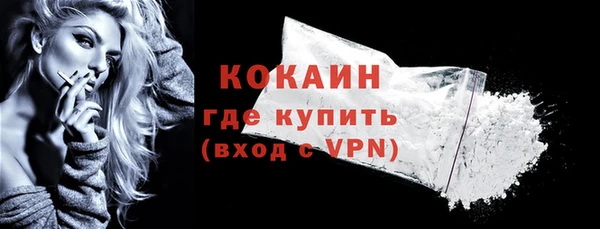 хмурый Арсеньев