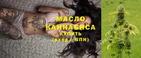 хмурый Арсеньев